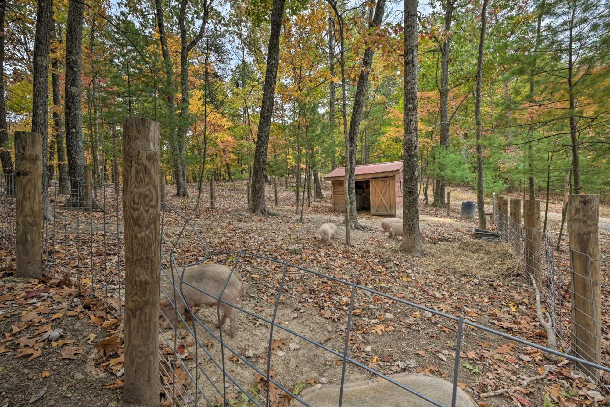 Lucas Mccain Cabin 5 Mi To Raystown Lake Launch! Хантингдон Экстерьер фото